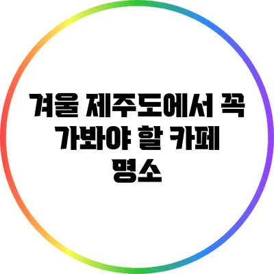 겨울 제주도에서 꼭 가봐야 할 카페 명소