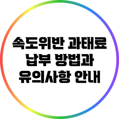 속도위반 과태료 납부 방법과 유의사항 안내