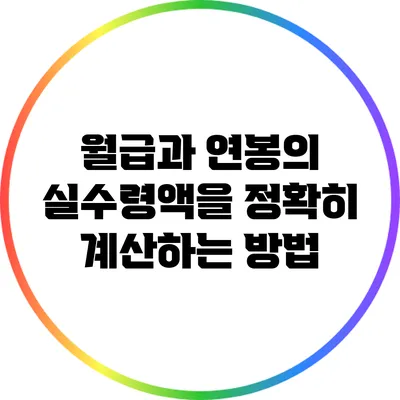 월급과 연봉의 실수령액을 정확히 계산하는 방법