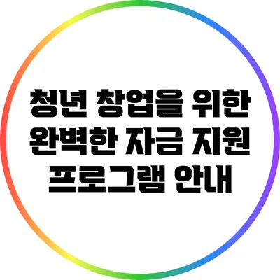 청년 창업을 위한 완벽한 자금 지원 프로그램 안내