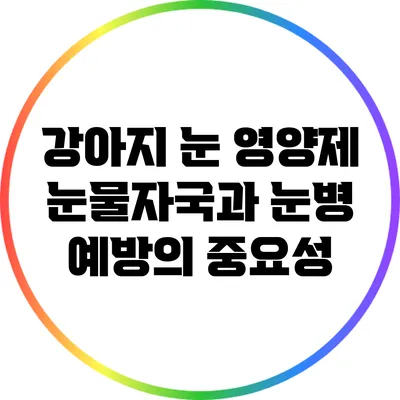 강아지 눈 영양제: 눈물자국과 눈병 예방의 중요성