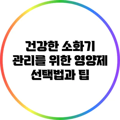 건강한 소화기 관리를 위한 영양제 선택법과 팁