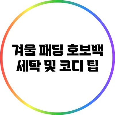 겨울 패딩 호보백 세탁 및 코디 팁
