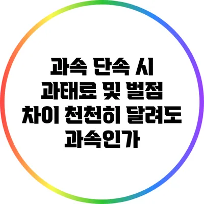 과속 단속 시 과태료 및 벌점 차이: 천천히 달려도 과속인가?