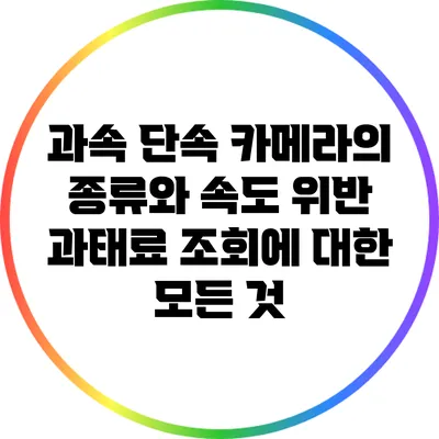 과속 단속 카메라의 종류와 속도 위반 과태료 조회에 대한 모든 것