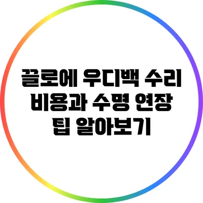 끌로에 우디백 수리 비용과 수명 연장 팁 알아보기