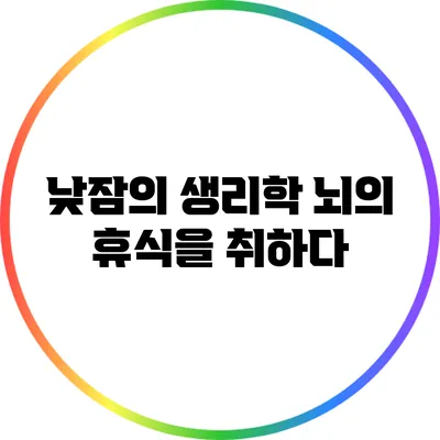 낮잠의 생리학: 뇌의 휴식을 취하다