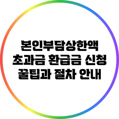 본인부담상한액 초과금 환급금 신청 꿀팁과 절차 안내