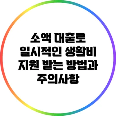 소액 대출로 일시적인 생활비 지원 받는 방법과 주의사항