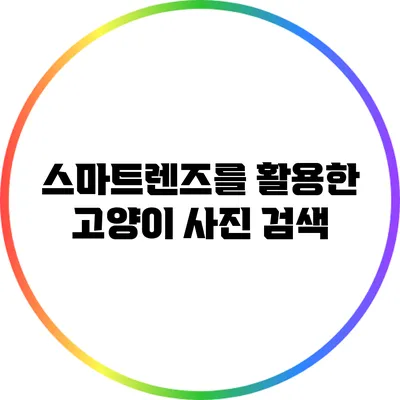 스마트렌즈를 활용한 고양이 사진 검색