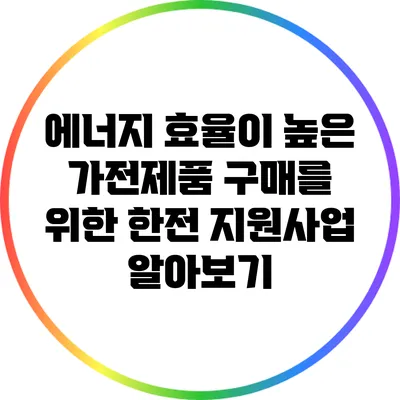 에너지 효율이 높은 가전제품 구매를 위한 한전 지원사업 알아보기