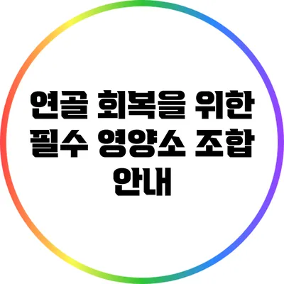 연골 회복을 위한 필수 영양소 조합 안내