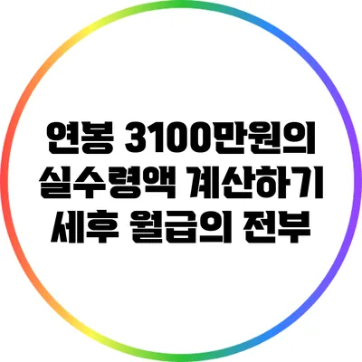 연봉 3100만원의 실수령액 계산하기: 세후 월급의 전부