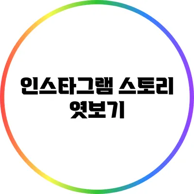 인스타그램 스토리 엿보기