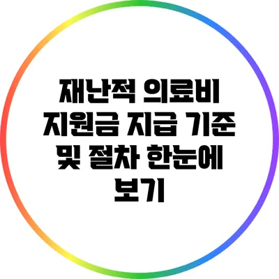 재난적 의료비 지원금 지급 기준 및 절차 한눈에 보기