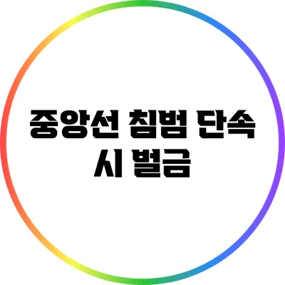 중앙선 침범 단속 시 벌금