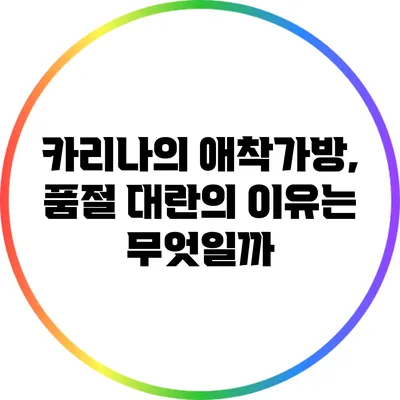 카리나의 애착가방, 품절 대란의 이유는 무엇일까?