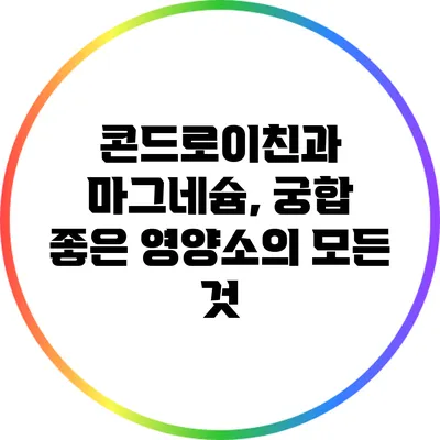 콘드로이친과 마그네슘, 궁합 좋은 영양소의 모든 것