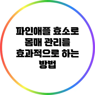 파인애플 효소로 몸매 관리를 효과적으로 하는 방법