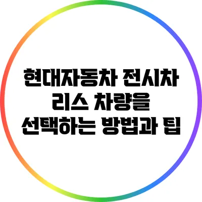현대자동차 전시차 리스 차량을 선택하는 방법과 팁