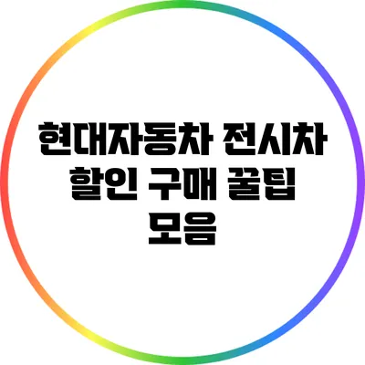현대자동차 전시차 할인 구매 꿀팁 모음