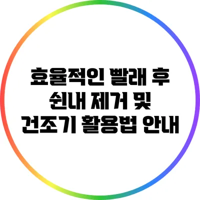 효율적인 빨래 후 쉰내 제거 및 건조기 활용법 안내