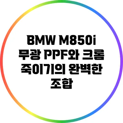 BMW M850i 무광 PPF와 크롬 죽이기의 완벽한 조합