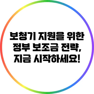 보청기 지원을 위한 정부 보조금 전략, 지금 시작하세요!