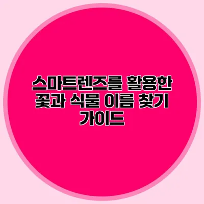 스마트렌즈를 활용한 꽃과 식물 이름 찾기 가이드