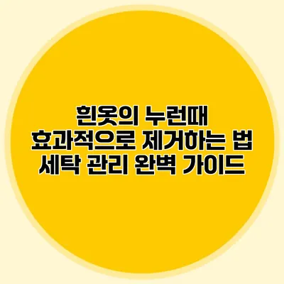 흰옷의 누런때 효과적으로 제거하는 법: 세탁 관리 완벽 가이드