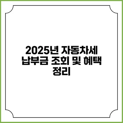 2025년 자동차세 납부금 조회 및 혜택 정리