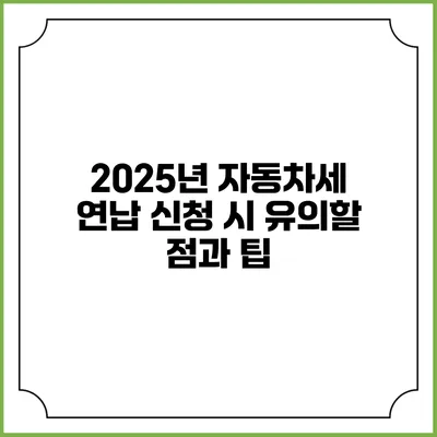 2025년 자동차세 연납 신청 시 유의할 점과 팁