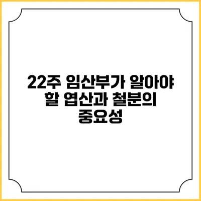 22주 임산부가 알아야 할 엽산과 철분의 중요성