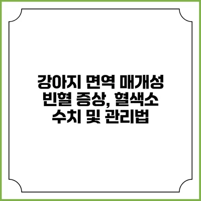 강아지 면역 매개성 빈혈: 증상, 혈색소 수치 및 관리법