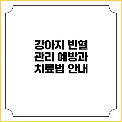 강아지 빈혈 관리: 예방과 치료법 안내