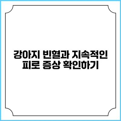 강아지 빈혈과 지속적인 피로 증상 확인하기