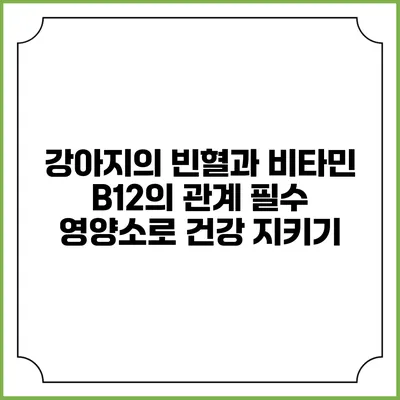 강아지의 빈혈과 비타민 B12의 관계: 필수 영양소로 건강 지키기