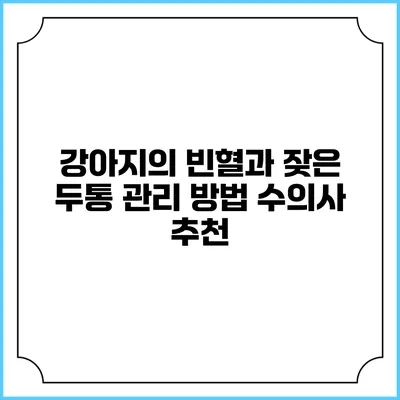 강아지의 빈혈과 잦은 두통 관리 방법: 수의사 추천