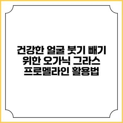 건강한 얼굴 붓기 빼기 위한 오가닉 그라스 프로멜라인 활용법
