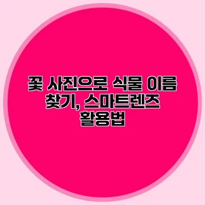 꽃 사진으로 식물 이름 찾기, 스마트렌즈 활용법