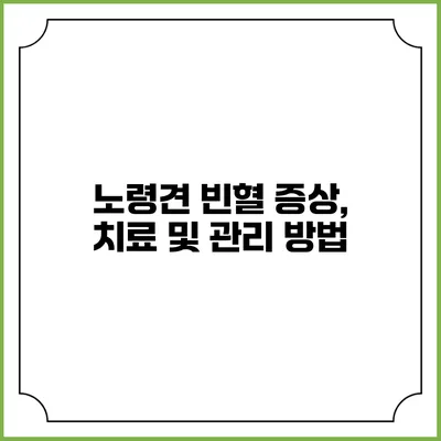 노령견 빈혈: 증상, 치료 및 관리 방법