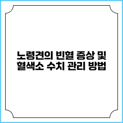 노령견의 빈혈 증상 및 혈색소 수치 관리 방법