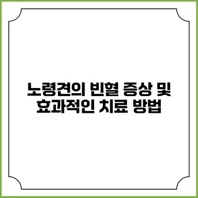 노령견의 빈혈 증상 및 효과적인 치료 방법