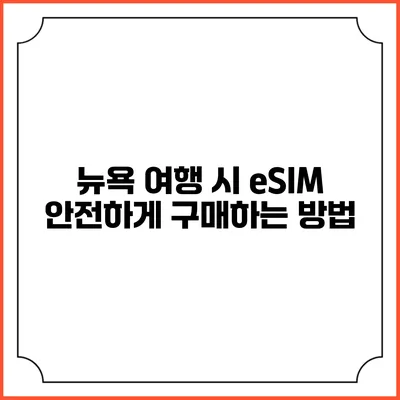 뉴욕 여행 시 eSIM 안전하게 구매하는 방법