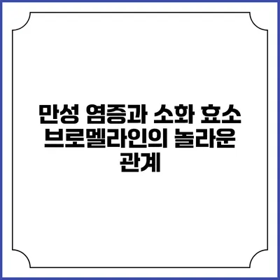 만성 염증과 소화 효소 브로멜라인의 놀라운 관계