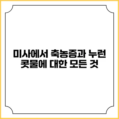 미사에서 축농증과 누런 콧물에 대한 모든 것