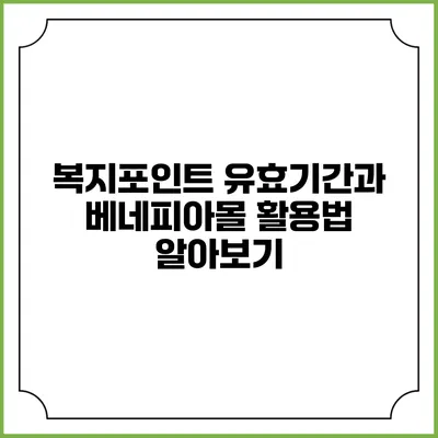 복지포인트 유효기간과 베네피아몰 활용법 알아보기
