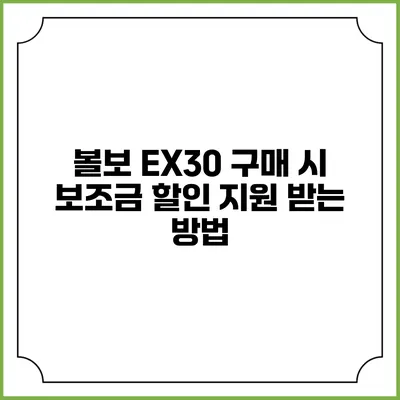 볼보 EX30 구매 시 보조금 할인 지원 받는 방법