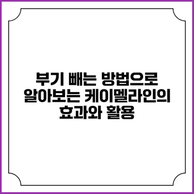부기 빼는 방법으로 알아보는 케이멜라인의 효과와 활용
