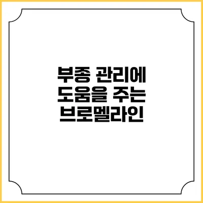 부종 관리에 도움을 주는 브로멜라인